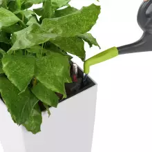 Nasadka na konewkę Lechuza PICO pistacjowy