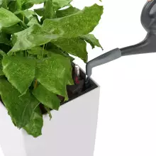 Nasadka na konewkę Lechuza PICO szary łupek