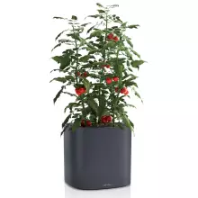 Doniczka Lechuza Pila 35 szary łupek