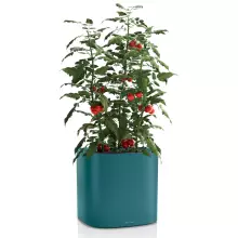 Doniczka Lechuza Pila 35 niebieski | petrol blue