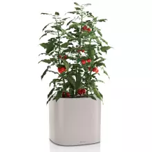 Doniczka Lechuza Pila 35 piaskowy brąz