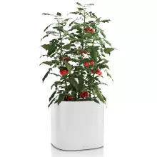 Doniczka Lechuza Pila 35 jasny szary