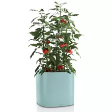 Doniczka Lechuza Pila 35 pastelowy zielony