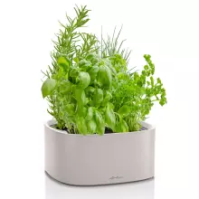 Misa Lechuza Pila piaskowy brąz