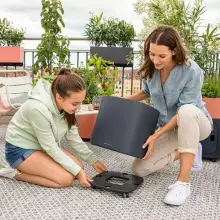 Podstawa z kółkami Pila