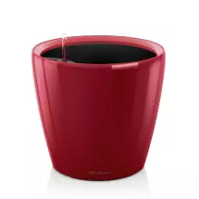 CLASSICO LS 21/20 czerwony scarlet połysk