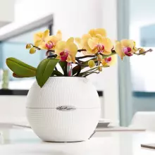 Doniczka Lechuza PURO Color 20 biały