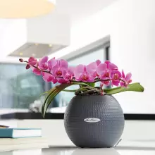 Doniczka Lechuza PURO Color 20 szary łupek