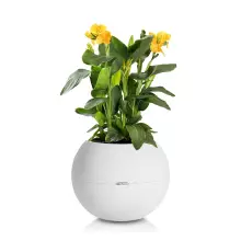 Donica Lechuza PURO Color 50 biały