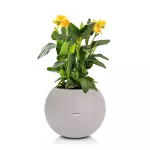 Donica Lechuza PURO Color 50 piaskowy brąz