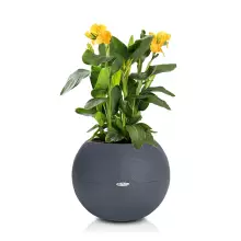 Donica Lechuza PURO Color 50 szary łupek