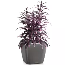 Doniczka Lechuza QUADRO LS 28/28/26 antracyt metalik