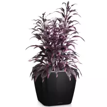 Doniczka Lechuza QUADRO LS 28/28/26 czarny połysk