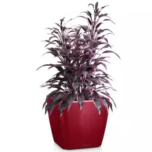 Doniczka Lechuza QUADRO LS 28/28/26 czerwony scarlet połysk