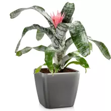 Donica Lechuza QUADRO LS 43/43/40 antracyt metalik