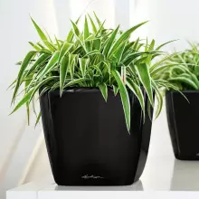 Doniczka Lechuza QUADRO LS 21/21/20 czarny połysk