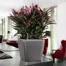 Doniczka Lechuza QUADRO LS 28/28/26 srebrny metalik