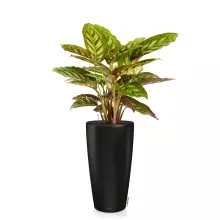 Donica Lechuza RONDO 40/75 czarny mat