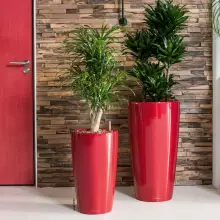 Donica Lechuza RONDO 32/56 czerwony scarlet połysk