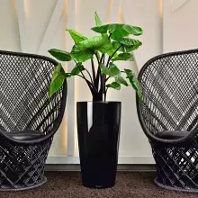 Donica Lechuza RONDO 32/56 czarny połysk