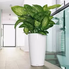 Donica Lechuza RONDO 40/75 biały połysk