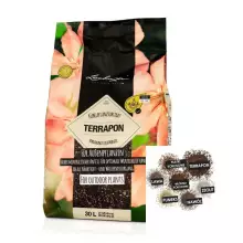 Substrat ziemny Lechuza TERRAPON 30 litrów