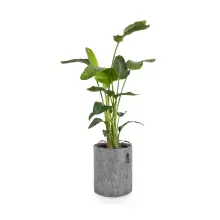 Donica Lechuza TRENDCOVER 32 filc ciemnoszary