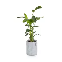 Donica Lechuza TRENDCOVER 32 filc jasnoszary