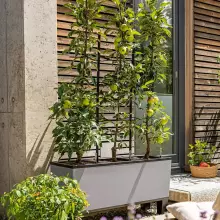 Donica Lechuza TRIO Stone 30 szary kamień