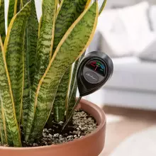 Miernik wilgotności podłoża Lechuza