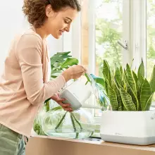 Konewka Lechuza YULA biało-szara