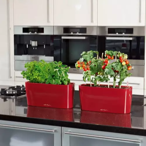 Doniczka Delta 10 w kolorze czerwony połysk z bazylią i pomidorem