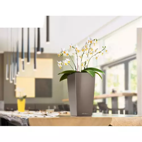 Doniczka Maxi-Cubi w kolorze taupe + storczyk