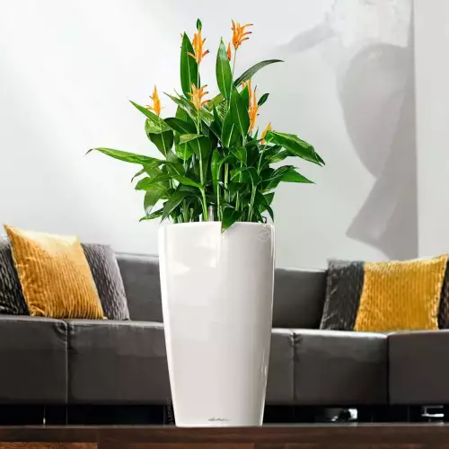 Donica Lechuza Rondo 32 biały połysk