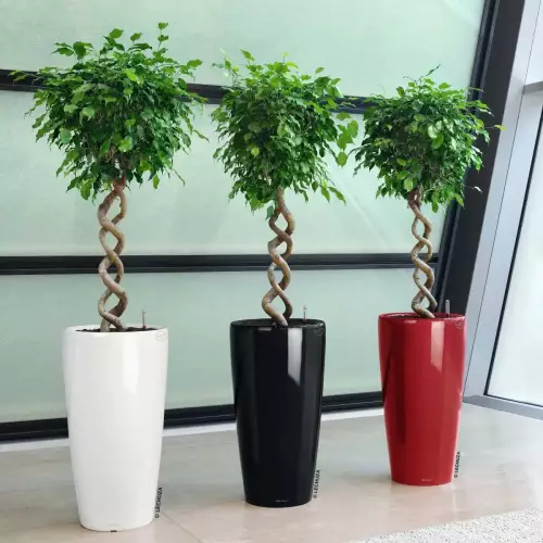 Donice Lechuza Rondo w kolorze białym, czarnym i czerwonym