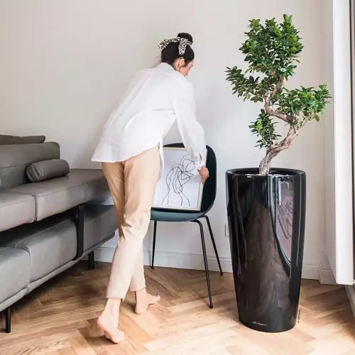 Lechuza Rondo 40 w aranżacji domowej