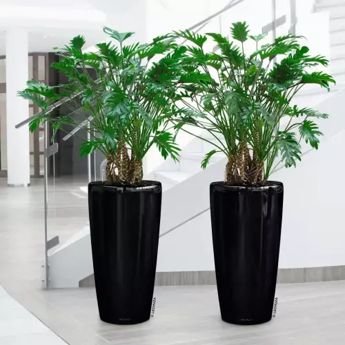 Czarne donice Rondo w przestrzeni biurowej