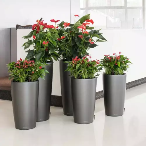 Rondo antracyt 32 i 40 w recepcji