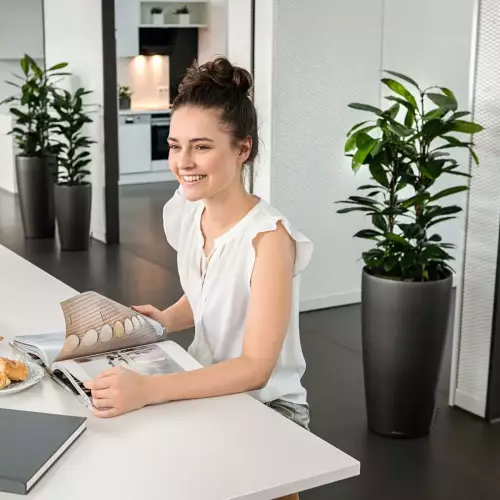 Donice Rondo antracytowe rozmiar 32 i 40 w biurze