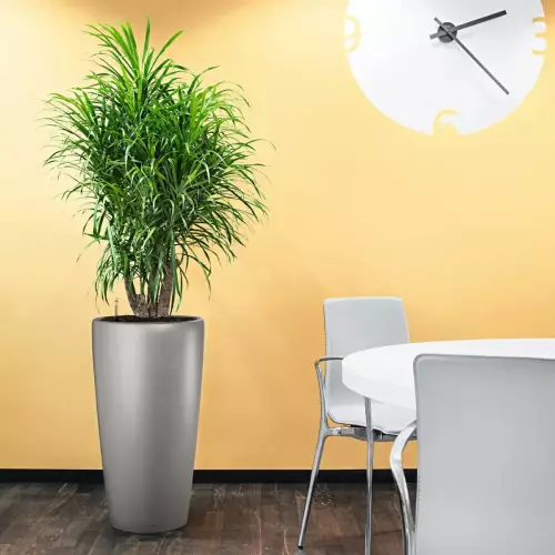 Srebrna donica Lechuza Rondo 40