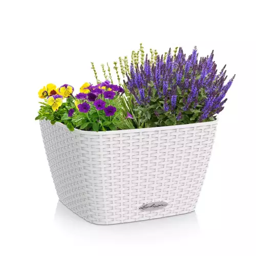 Donica Lechuza Baccino w kolorze białym z zasadzonymi roślinami