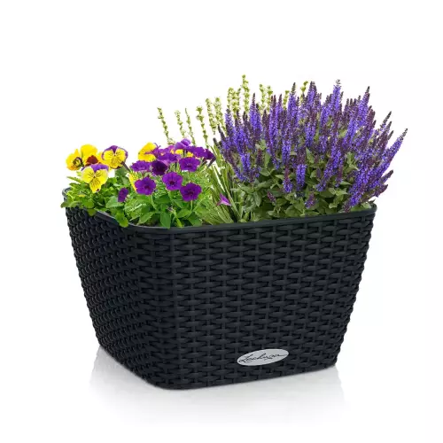 Donica Lechuza Baccino w kolorze czarnym z zasadzonymi roślinami