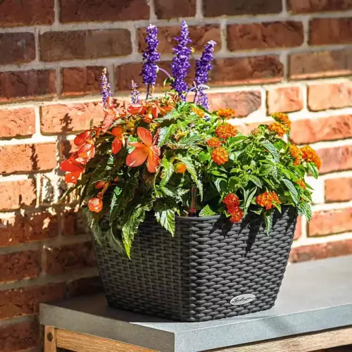 Cilindro Baccino 30 w kolorze granitowym w aranżacji