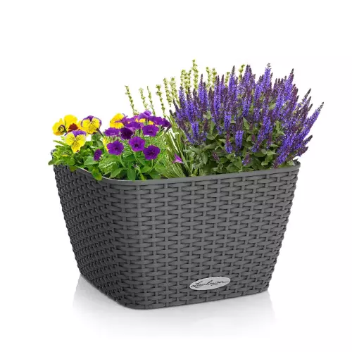 Donica Lechuza Baccino w kolorze granitowym z zasadzonymi roślinami