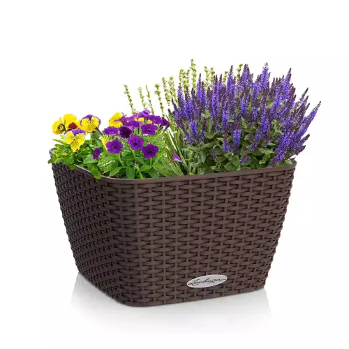 Donica Lechuza Baccino w kolorze mokka z zasadzonymi roślinami