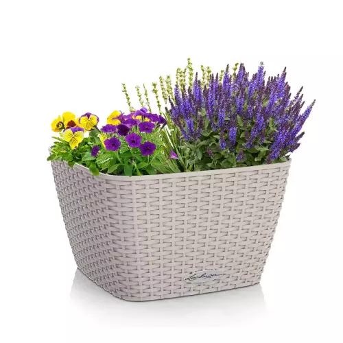 Donica Lechuza Baccino w kolorze piaskowego brązu z zasadzonymi roślinami