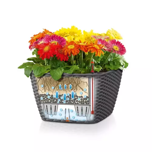 Schemat systemu nawadniania donic Baccino Cottage 30