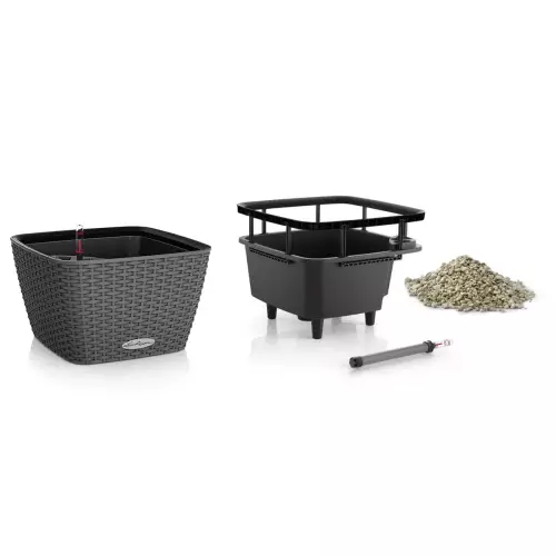 Baccino Cottage - wkład i system nawadniający - w komplecie