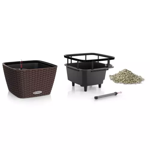 Baccino Cottage - wkład i system nawadniający - w komplecie