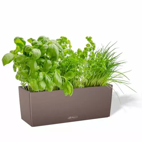 Doniczka Lechuza BALCONERA Color 50 muszkatołowy brąz z ziołami